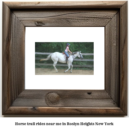 horse trail rides near me in Roslyn Heights, New York